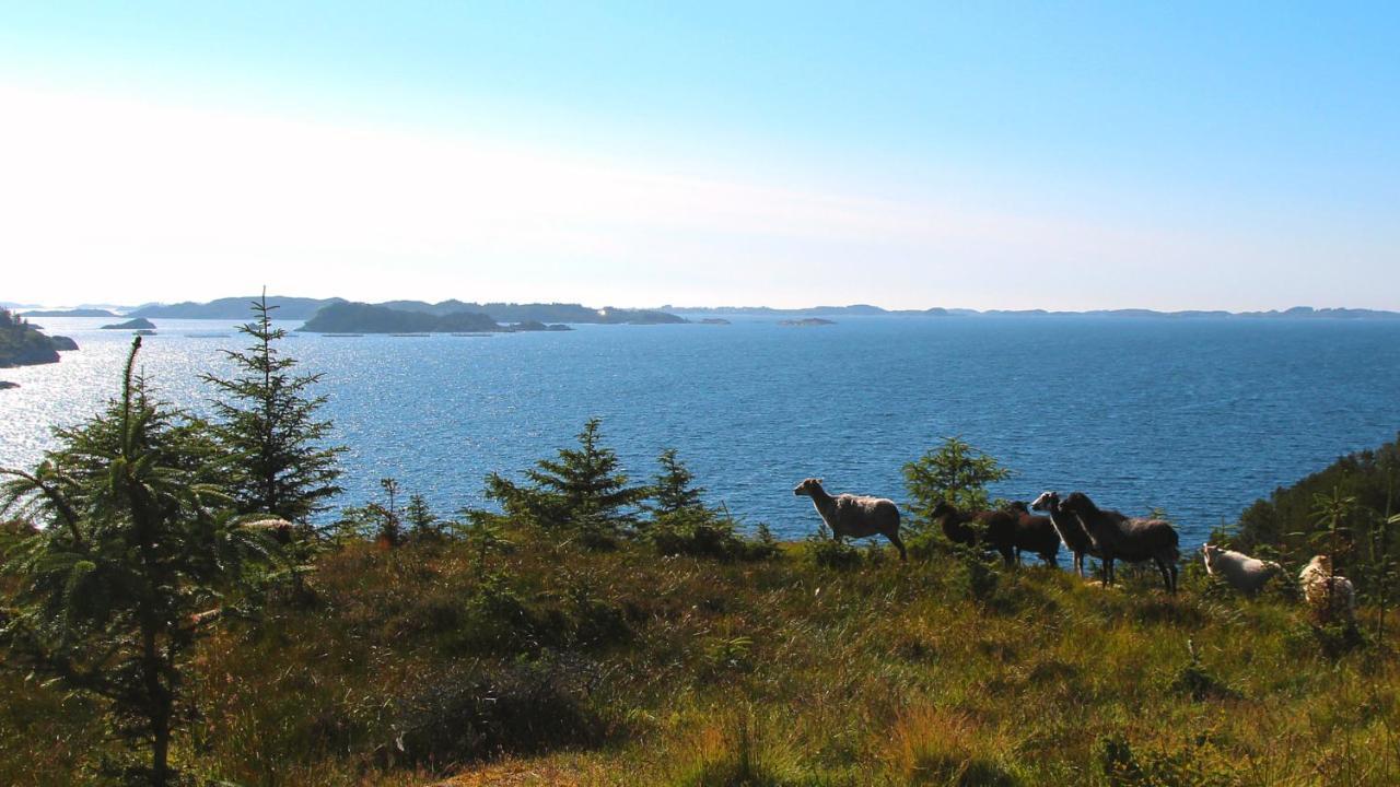 Kobbaneset Hk - Tett Pa Havet - Bekkjarvik Appartement Buitenkant foto