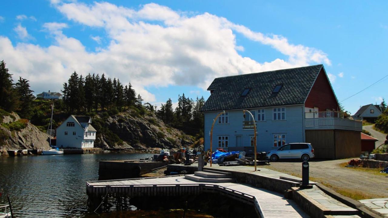Kobbaneset Hk - Tett Pa Havet - Bekkjarvik Appartement Buitenkant foto