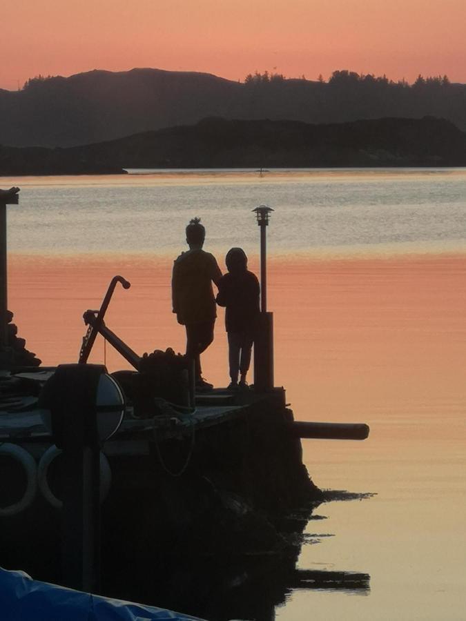 Kobbaneset Hk - Tett Pa Havet - Bekkjarvik Appartement Buitenkant foto