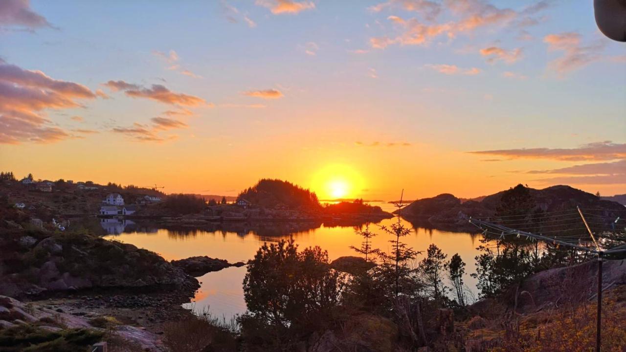 Kobbaneset Hk - Tett Pa Havet - Bekkjarvik Appartement Buitenkant foto